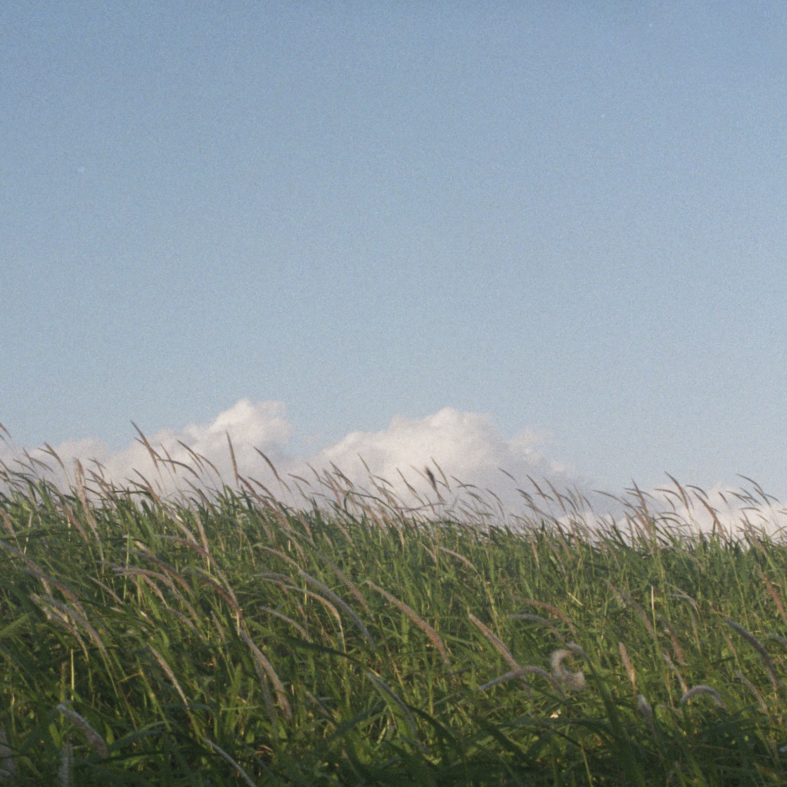 學校作品影像
